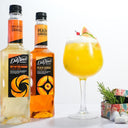 DaVinci Gourmet Bitter Orange Acı Portakal Aromalı Şurup 750 ml