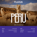 Peru Café del Futuro Yıkanmış Filtre Kahve 1 KG